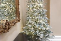 IMG_20251218_113005704