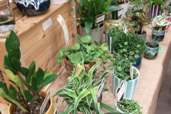 6.-Sharon-speaking-2