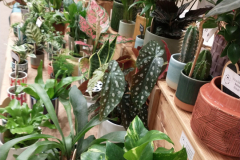 7.-Sharon-speaking-3