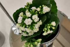 10.-flowers
