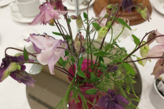 2.-flowers-aqualigea-1